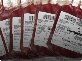 Hợp tác y tế nâng tầm quan hệ ngoại giao Việt Nam – Đan Mạch